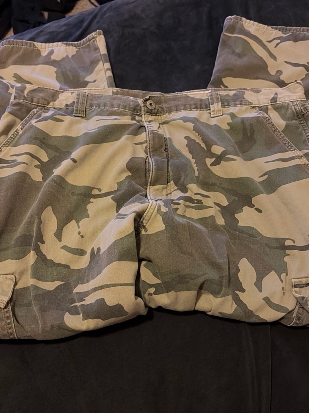 Camo Cargo Pants in Green and Tan